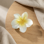 Hawaii Blomst Hårklype — Gradient